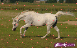 glitterfy104747760d32.gif